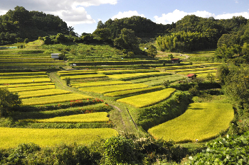 石舞台古墳